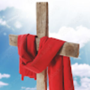 Meet your Posher, Andy